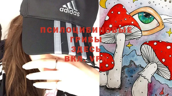 ПСИЛОЦИБИНОВЫЕ ГРИБЫ Горняк