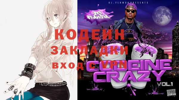 ПСИЛОЦИБИНОВЫЕ ГРИБЫ Горняк