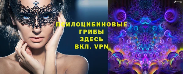 ПСИЛОЦИБИНОВЫЕ ГРИБЫ Горняк