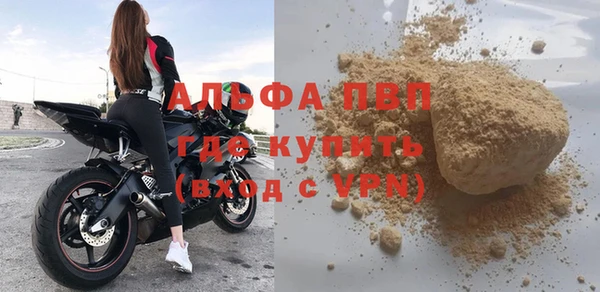 ПСИЛОЦИБИНОВЫЕ ГРИБЫ Горняк
