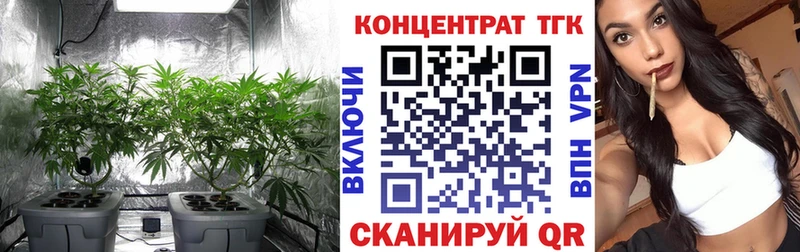 ТГК THC oil  Купить где  Алексеевка 
